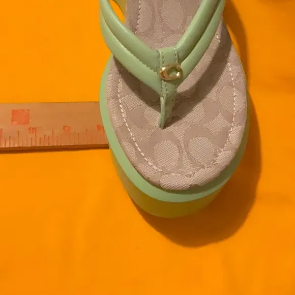Coach Pistachio (Green) Platform Wedge Flip Flops Size 9, NWT