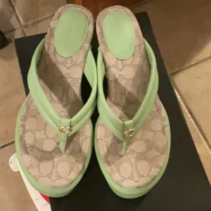 Coach Pistachio (Green) Platform Wedge Flip Flops Size 9, NWT