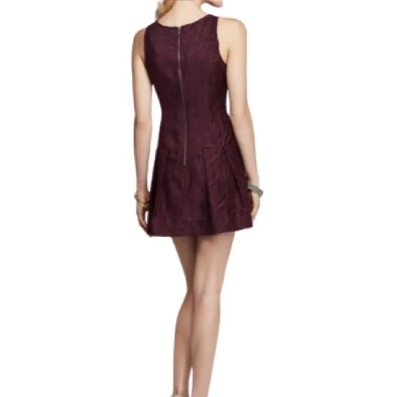 FREE PEOPLE Wild Zebra Dress Fit &amp; Flare Pockets