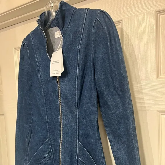 NEW &amp; OTHER STORIES STRUCTURED ORGANIC COTTON DENIM ZIP MINI DRESS