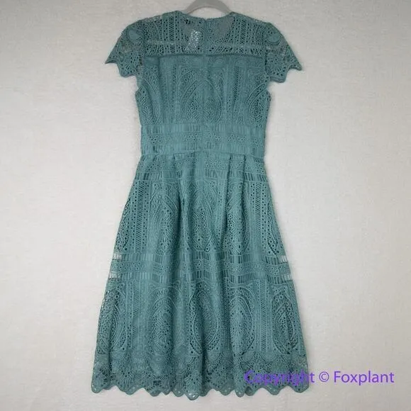 New! White House Black‎ Market Embroidered Lace Fit-and-Flare Dress, size 2