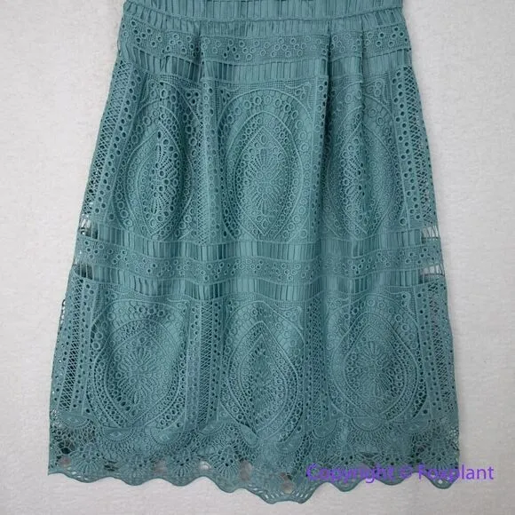 New! White House Black‎ Market Embroidered Lace Fit-and-Flare Dress, size 2