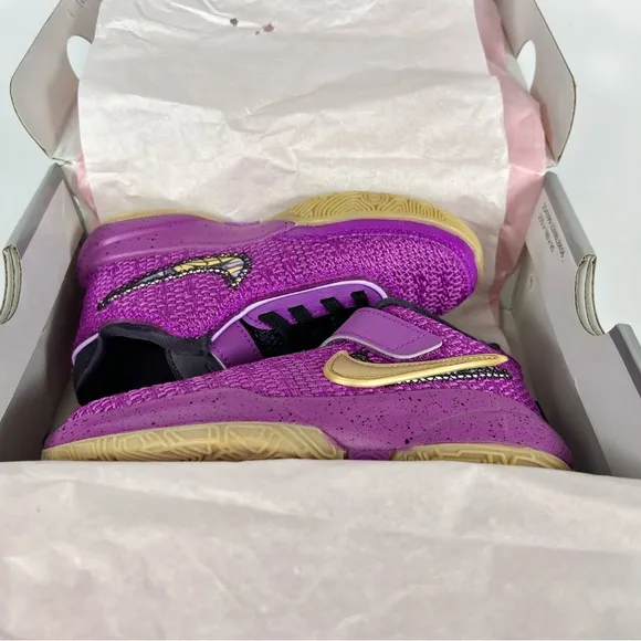 Nike Lebron 20 SE PS ‘Young Heirs’ Vivid Purple Basketball Shoes