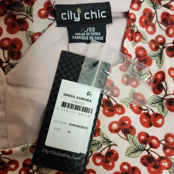 NWT City Chic Dress Aurora Champagne Berries XL = 22 = 3X